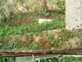 IMG_20260804_085526