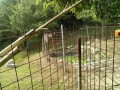 IMG_20260804_085541
