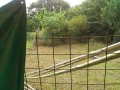 IMG_20260804_085546