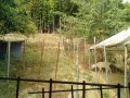 IMG_20260804_085557