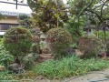 IMG_20260804_093032