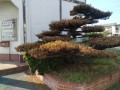 IMG_20260804_163017
