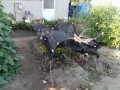 IMG_20260804_163942