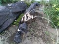 IMG_20260804_163949