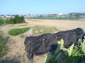 IMG_20260804_163953