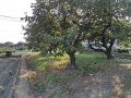 IMG_20260804_170213