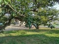 IMG_20260804_170235