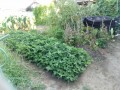 IMG_20260804_170956