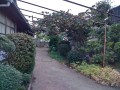 IMG_20260804_184928