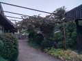 IMG_20260804_184931
