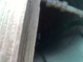 IMG_20260805_082304
