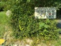 IMG_20260805_082322