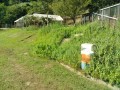 IMG_20260805_082414