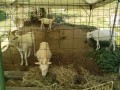 IMG_20260805_082706