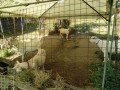 IMG_20260805_082713