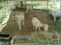 IMG_20260805_082752