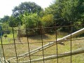 IMG_20260805_082838