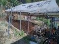 IMG_20260805_082850