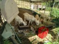 IMG_20260805_083037