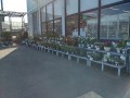IMG_20260805_162844