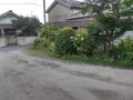 IMG_20260805_182726