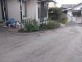 IMG_20260805_182729