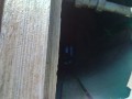IMG_20260806_083519