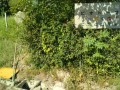 IMG_20260806_083531