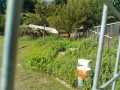 IMG_20260806_083652