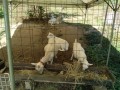 IMG_20260806_084212