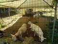 IMG_20260806_084217