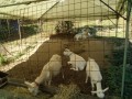 IMG_20260806_084219