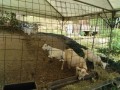 IMG_20260806_084228