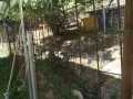 IMG_20260806_084236