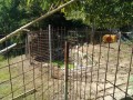 IMG_20260806_084255