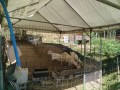 IMG_20260806_084319