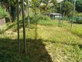IMG_20260806_084420