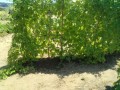 IMG_20260806_103026