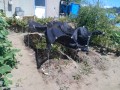 IMG_20260806_103030