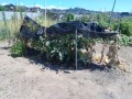 IMG_20260806_103057