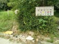 IMG_20260807_081036