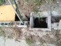 IMG_20260807_081042