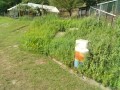 IMG_20260807_081327