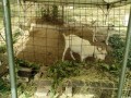 IMG_20260807_081646
