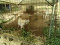 IMG_20260807_081655