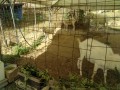 IMG_20260807_081715