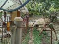 IMG_20260807_081742