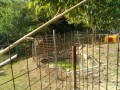 IMG_20260807_081822