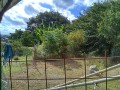 IMG_20260807_081825