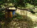 IMG_20260807_081828